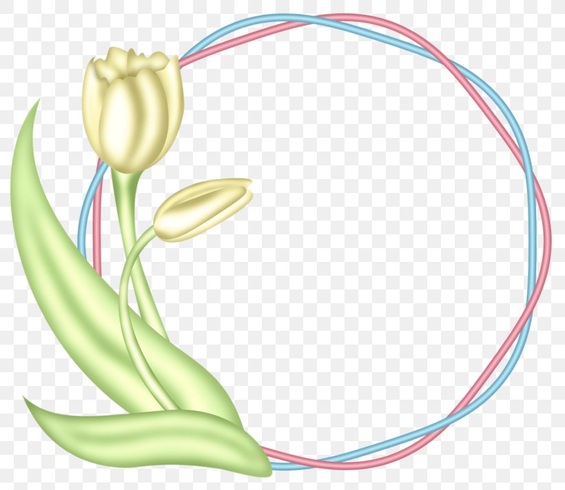 Rubber Band Natural Rubber Clip Art, PNG, 800x711px, Watercolor, Cartoon, Flower, Frame, Heart Download Free
