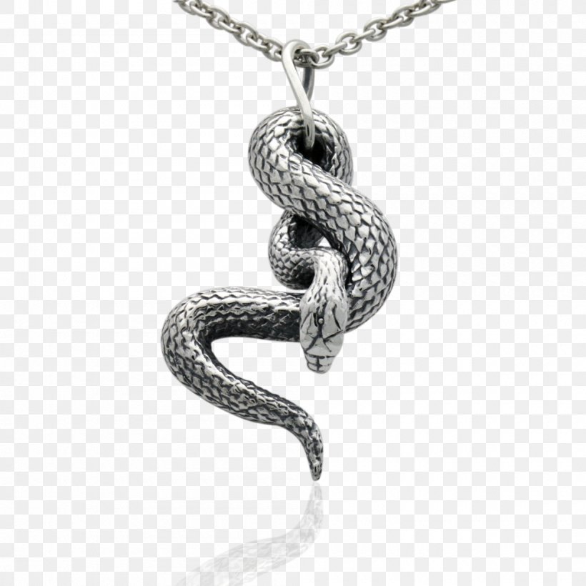 Snake Charms & Pendants Necklace Earring Sterling Silver, PNG, 1000x1000px, Snake, Bracelet, Chain, Charm Bracelet, Charms Pendants Download Free