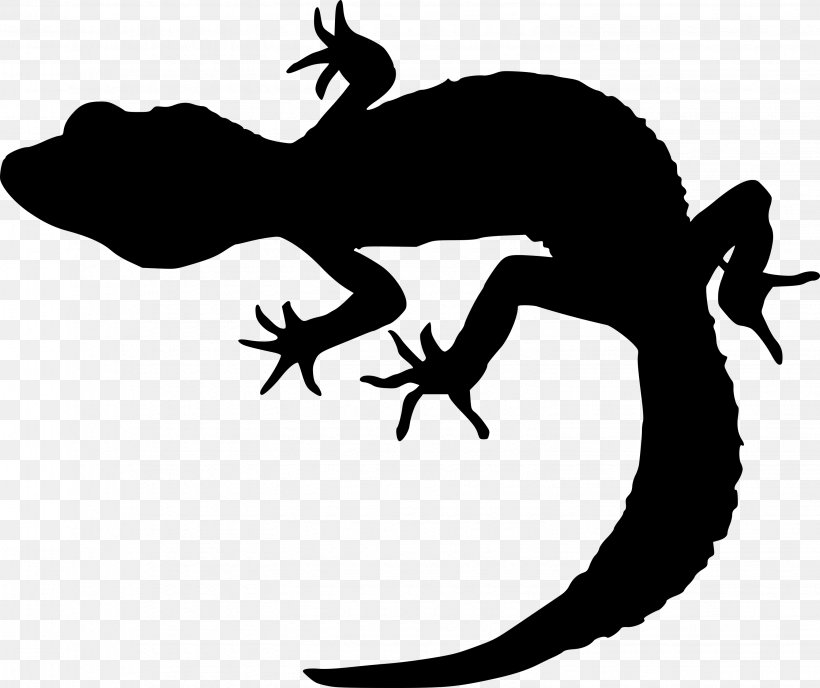 Clip Art Gecko Silhouette Lizard, PNG, 3062x2570px, Gecko, Amphibian