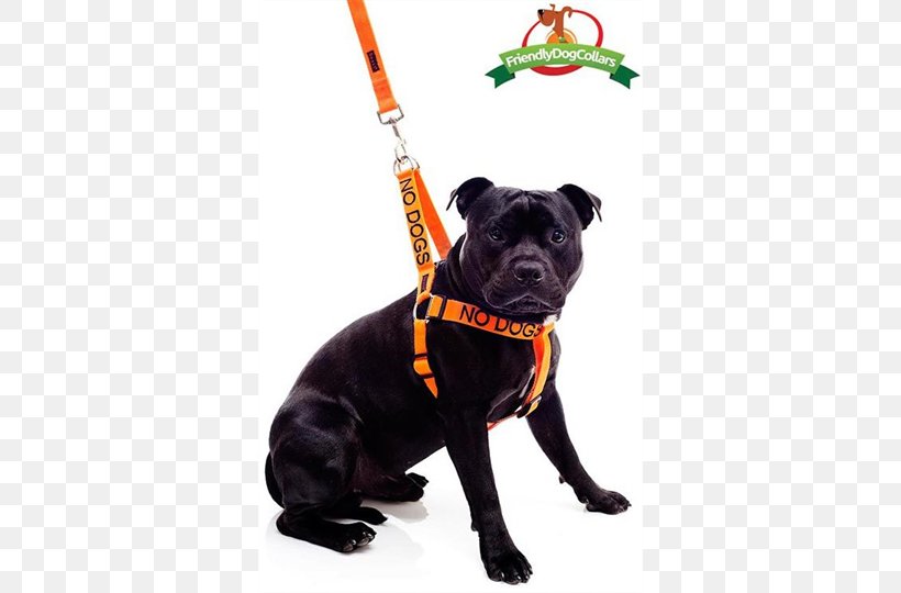 Dog Breed Staffordshire Bull Terrier Leash Harnais Dog Collar, PNG, 500x540px, Dog Breed, Breed, Carnivoran, Collar, Communicatiemiddel Download Free