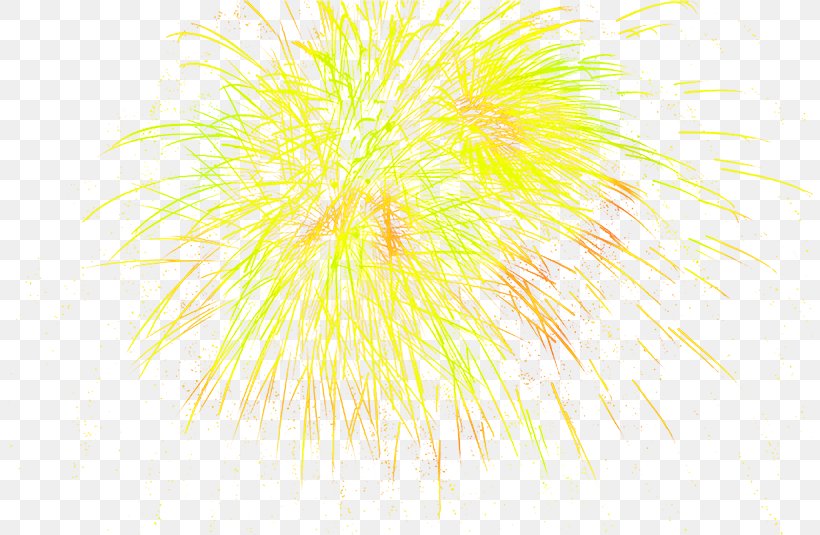 Fireworks New Years Day Chinese New Year, PNG, 806x535px, Fireworks, Art, Black And White, Chinese New Year, Flower Download Free