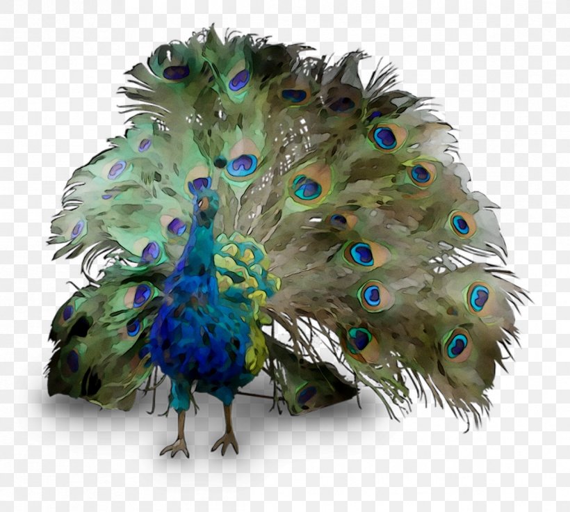 Peafowl Feather Beak, PNG, 1192x1071px, Peafowl, Beak, Bird, Fashion Accessory, Feather Download Free
