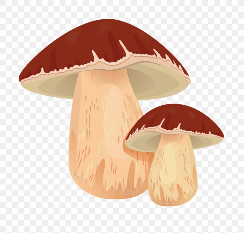 Penny Bun Edible Mushroom Common Mushroom Clip Art, PNG, 1024x979px, Penny Bun, Agaricaceae, Agaricomycetes, Agaricus, Basidiomycetes Download Free