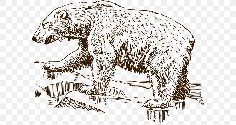 Polar Bear Grizzly Bear Koala Clip Art, PNG, 600x435px, Bear, Animal, Art, Black And White, Brown Bear Download Free