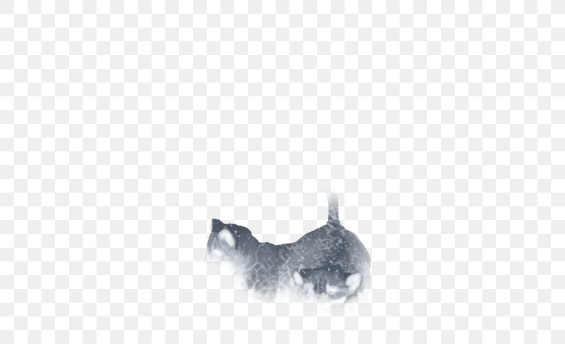 Dog Breed Snout, PNG, 640x500px, Dog Breed, Black, Breed, Carnivoran, Dog Download Free