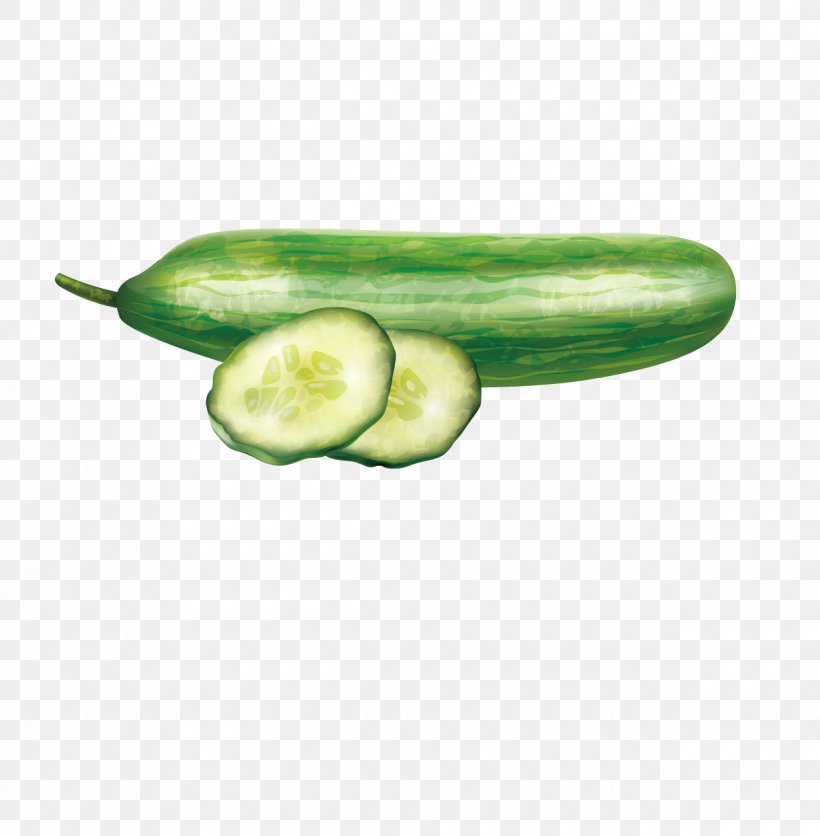 Slicing Cucumber Vegetable Computer File, PNG, 1240x1265px, Slicing Cucumber, Auglis, Cucumber, Cucumber Gourd And Melon Family, Cucumber Juice Download Free