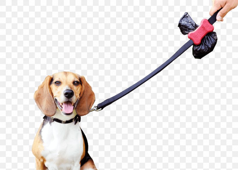 Dog Breed Leash Beagle Bin Bag Puppy, PNG, 1008x720px, Dog Breed, Bag, Beagle, Bin Bag, Collar Download Free