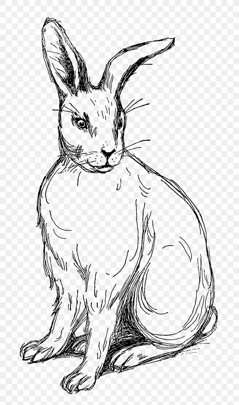 Domestic Rabbit Easter Bunny Drawing, PNG, 881x1496px, Rabbit, Animal, Artwork, Black And White, Digital Image Download Free