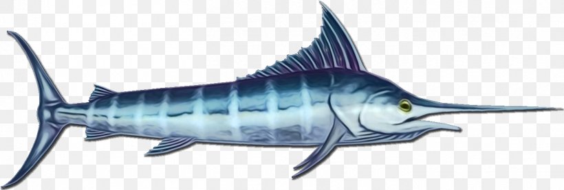 Fish Fish Atlantic Blue Marlin Fin Marine Biology, PNG, 1412x478px, Watercolor, Atlantic Blue Marlin, Bonyfish, Fin, Fish Download Free