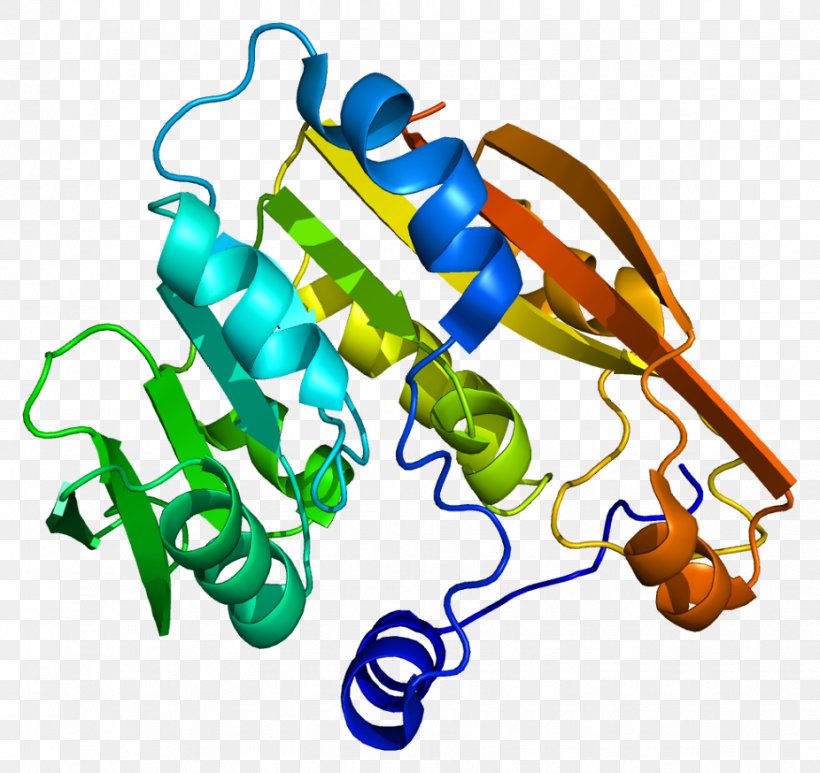 Thiopurine Methyltransferase Pharmacogenetics Mercaptopurine, PNG, 926x874px, Thiopurine Methyltransferase, Area, Azathioprine, Enzyme, Gene Download Free