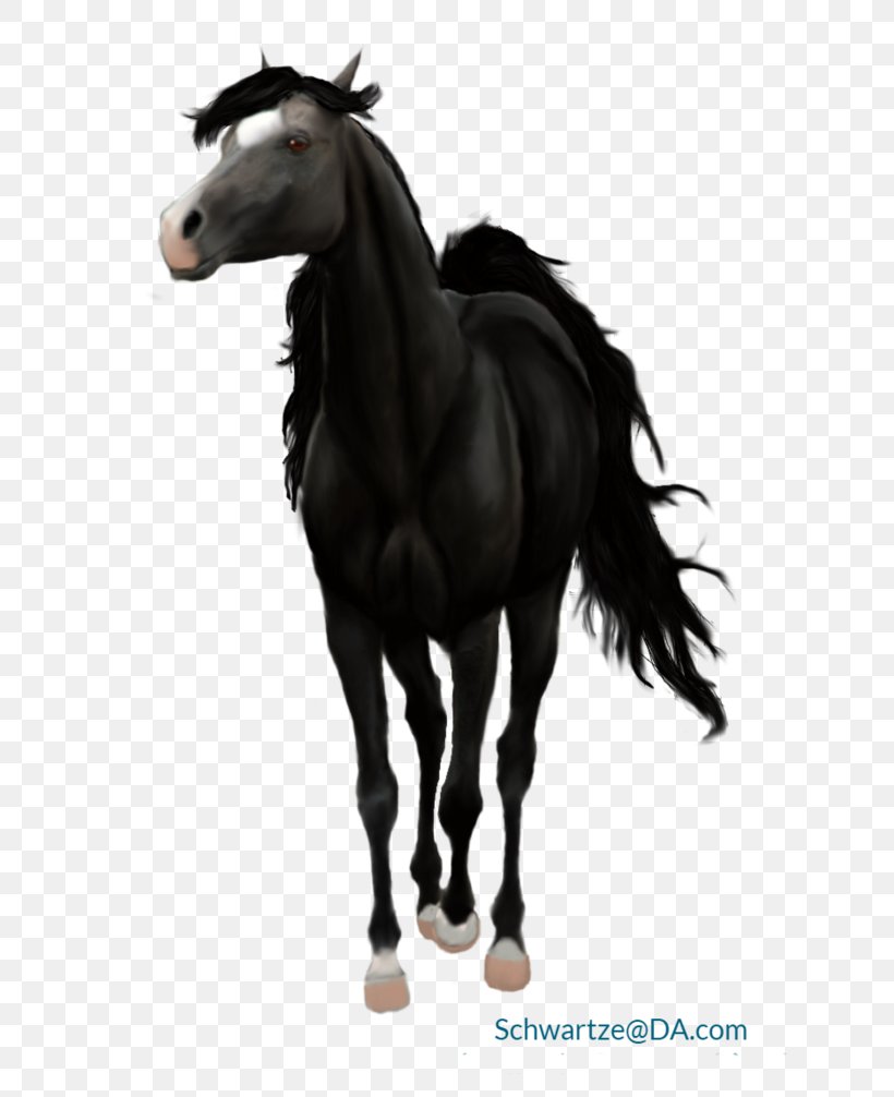 Mustang Stallion Mare Halter Pack Animal, PNG, 794x1006px, Mustang, Halter, Horse, Horse Like Mammal, Horse Supplies Download Free