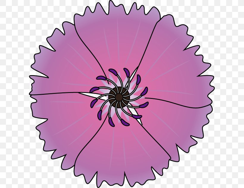 Transvaal Daisy Pink M Circle RTV Pink, PNG, 625x633px, Transvaal Daisy, Daisy Family, Flower, Flowering Plant, Gerbera Download Free