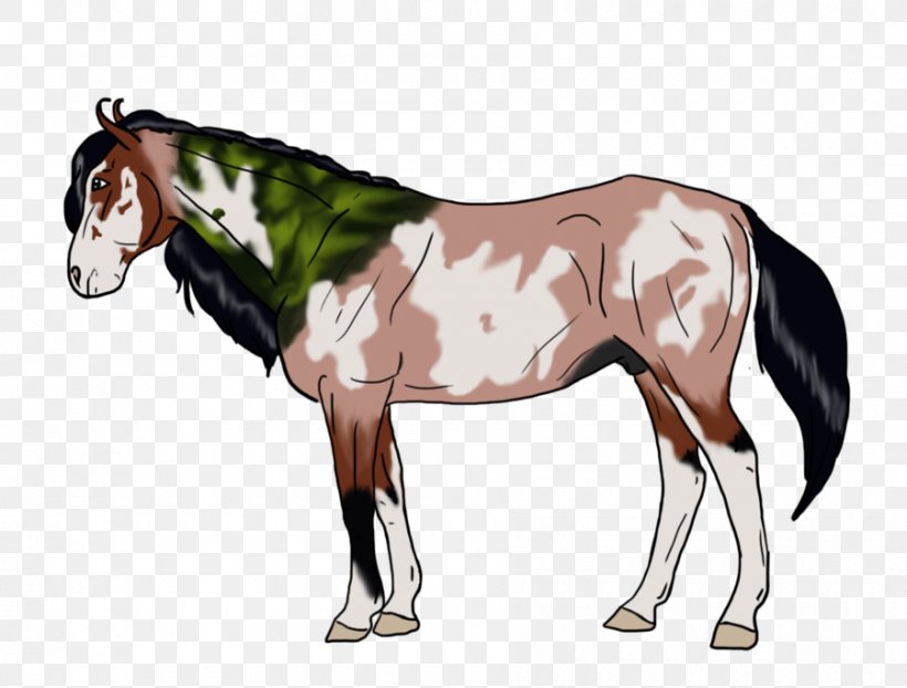Foal Stallion Mustang Mare Colt, PNG, 900x683px, Foal, Animal Figure, Bit, Bridle, Colt Download Free