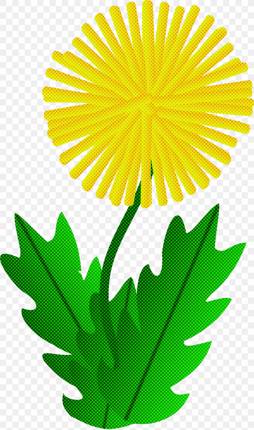 Yellow Leaf Flower Plant Dandelion, PNG, 1134x1919px, Yellow, Chamomile, Dandelion, English Marigold, Flower Download Free