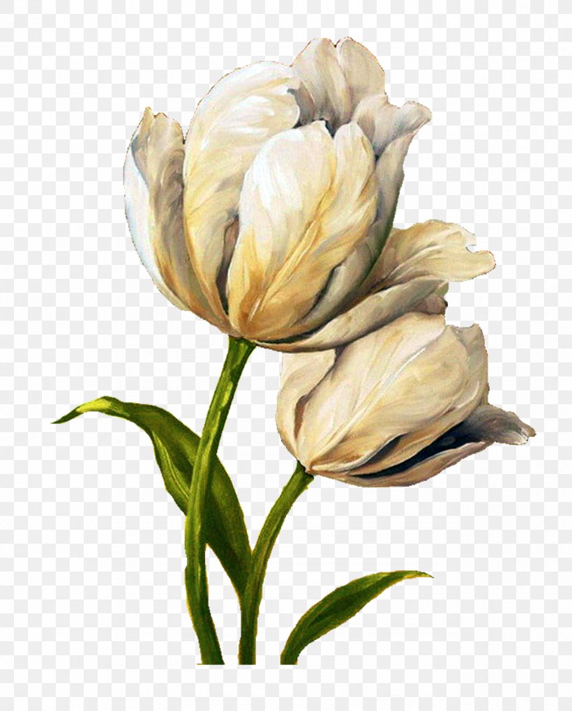 Flower Tulip Painting Decoupage Art, PNG, 1286x1600px, Flower, Art, Bud, Canvas, Cicely Mary Barker Download Free