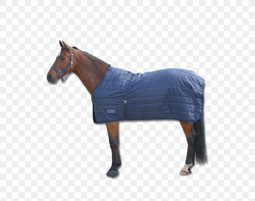 Horse Blanket Horse Blanket Equestrian Rein, PNG, 567x648px, Horse, Blanket, Bridle, Carpet, Chair Download Free