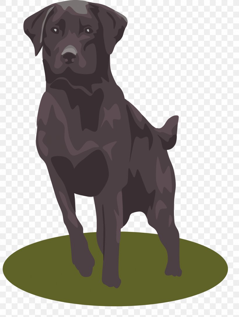 Labrador Retriever Clip Art, PNG, 1809x2400px, Labrador Retriever, Borador, Carnivoran, Companion Dog, Dog Download Free