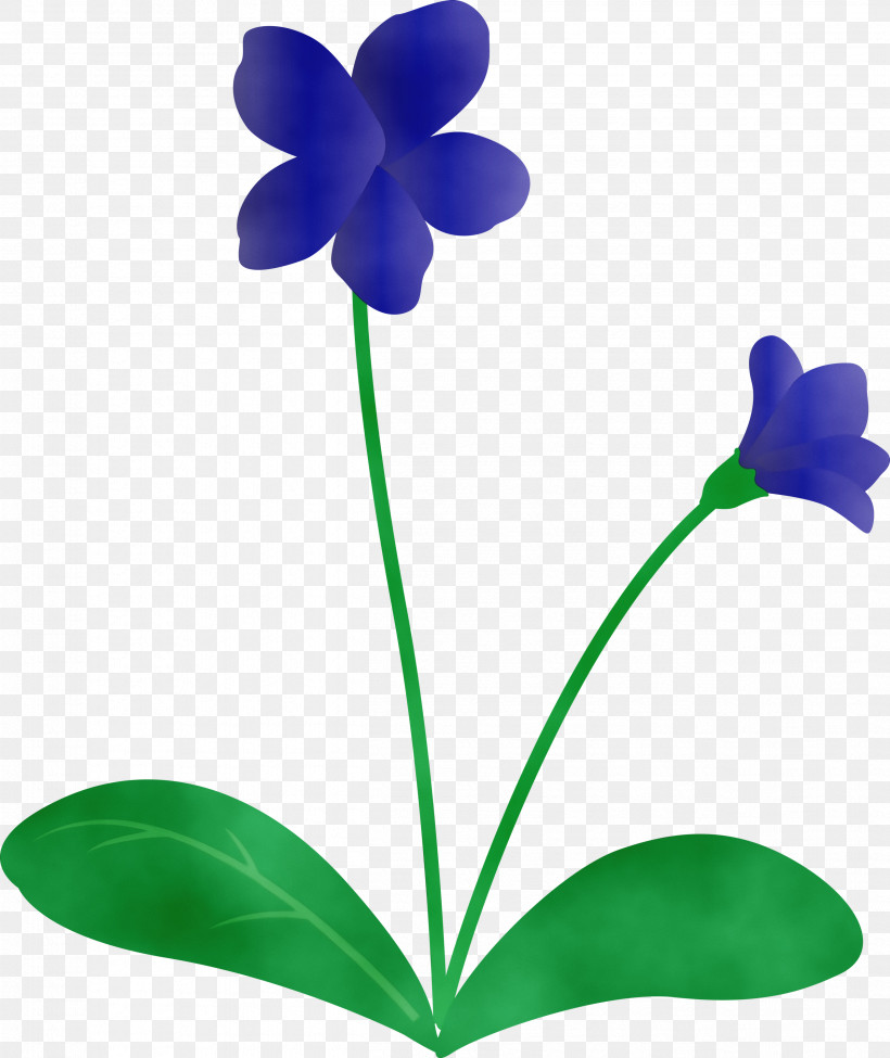 Leaf Plant Stem Petal Flora Turquoise, PNG, 2523x3000px, Violet Flower, Biology, Flora, Leaf, Paint Download Free