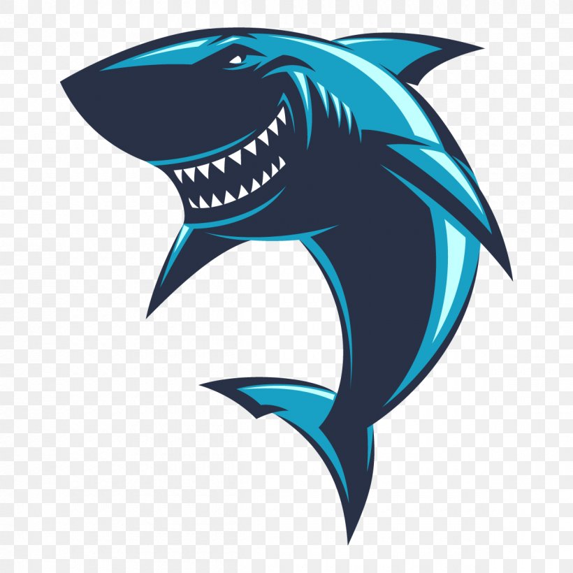Shark Logo Royalty-free, PNG, 1200x1200px, Shark, Aqua, Blue Shark, Cartilaginous Fish, Dolphin Download Free