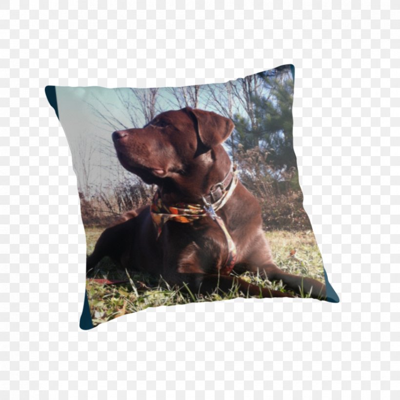Dog Breed Throw Pillows Cushion, PNG, 875x875px, Dog Breed, Breed, Cushion, Dog, Dog Like Mammal Download Free