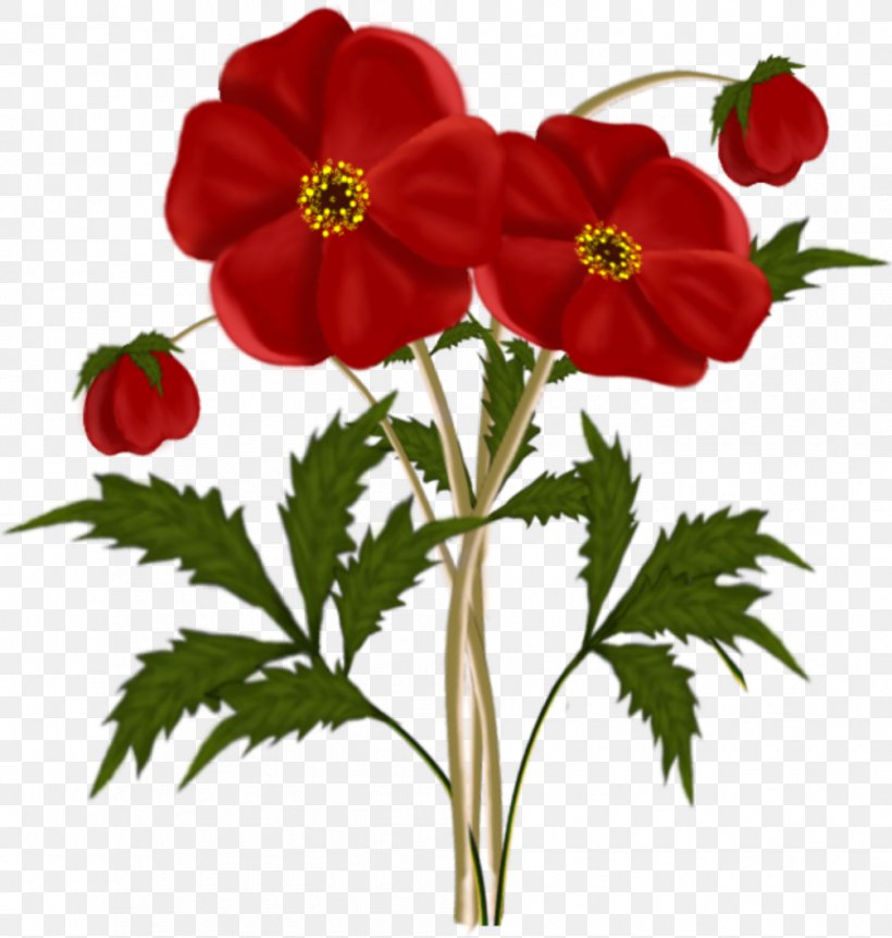 Flower Red Clip Art, PNG, 1005x1057px, Flower, Anemone, Annual Plant, Cut Flowers, Flowering Plant Download Free