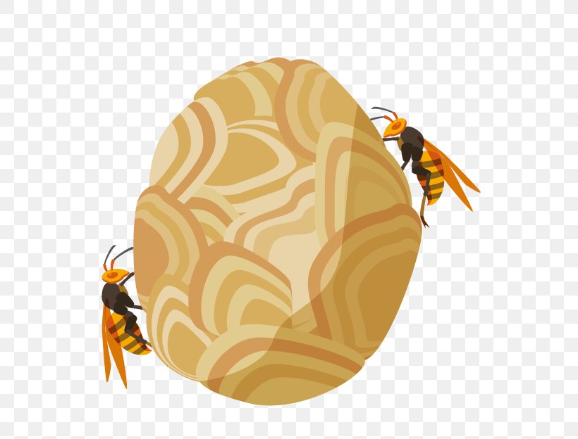 Honey Bee True Wasps Pest Control, PNG, 625x624px, Honey Bee, Arthropod, Asian Giant Hornet, Bee, Hornet Download Free