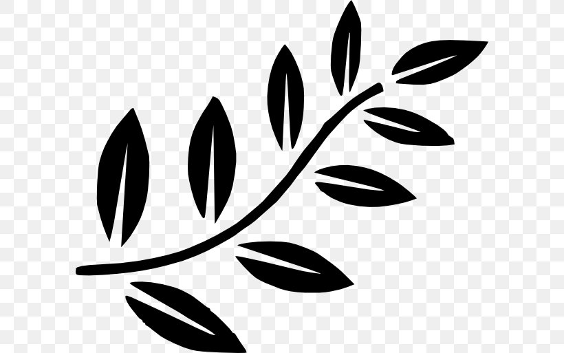 Branch Leaf Tree Clip Art, PNG, 600x513px, Branch, Black, Black And White, Free Content, Leaf Download Free
