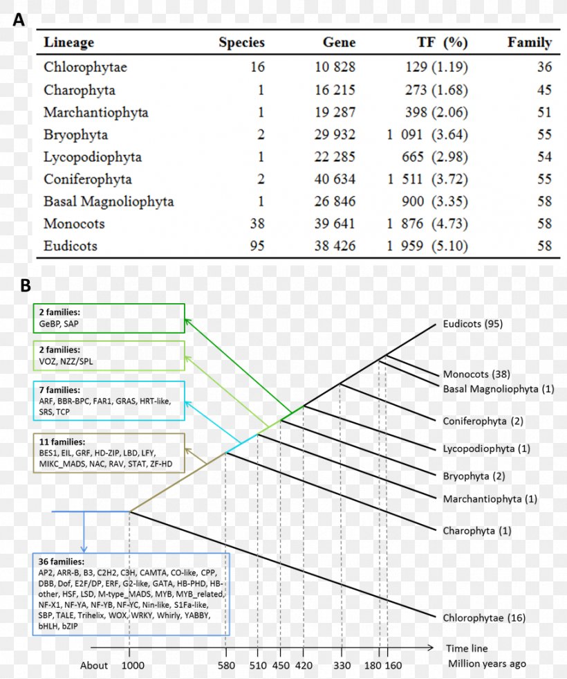 Document Line Angle, PNG, 915x1095px, Document, Area, Diagram, Paper, Parallel Download Free