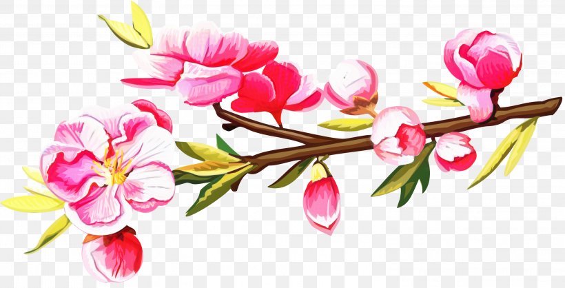 Floral Spring Flowers, PNG, 2999x1530px, Pink, Blossom, Branch, Bud, Cerasus Download Free