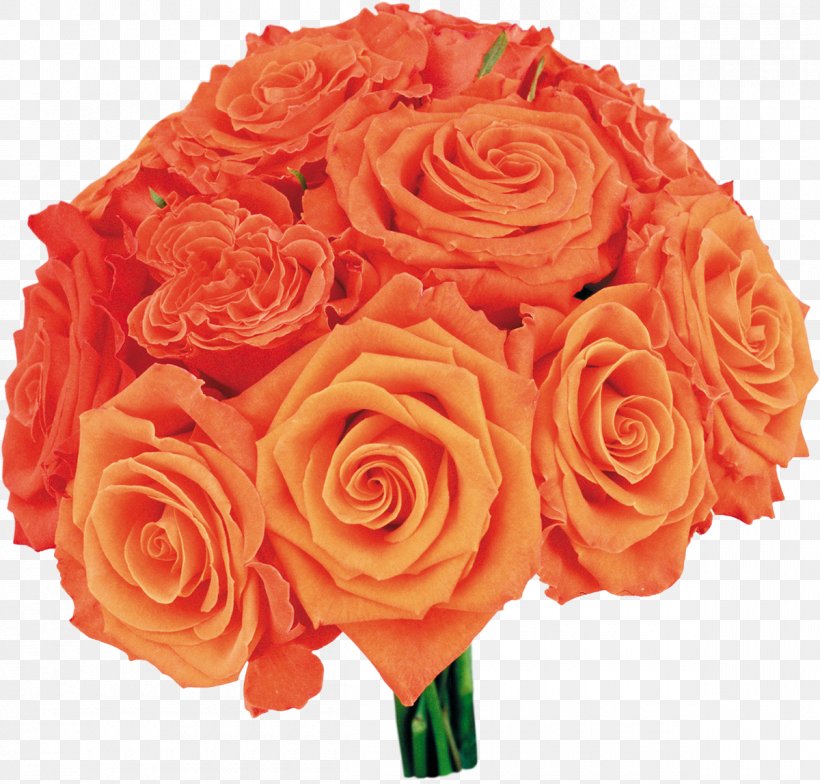 Garden Roses Flower Bouquet Clip Art, PNG, 1200x1148px, Garden Roses, Color, Cut Flowers, Display Resolution, Floral Design Download Free