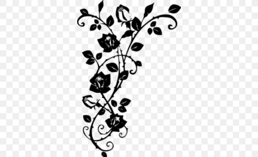 Rose Thorns, Spines, And Prickles Vine Drawing, PNG, 500x500px, Rose, Black And White, Black Rose, Blue Rose, Branch Download Free