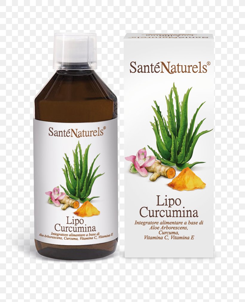 Dietary Supplement Curcumin Syrup Liposome Turmeric, PNG, 800x1009px, Dietary Supplement, Aloe Vera, Antioxidant, Capsule, Colloid Download Free