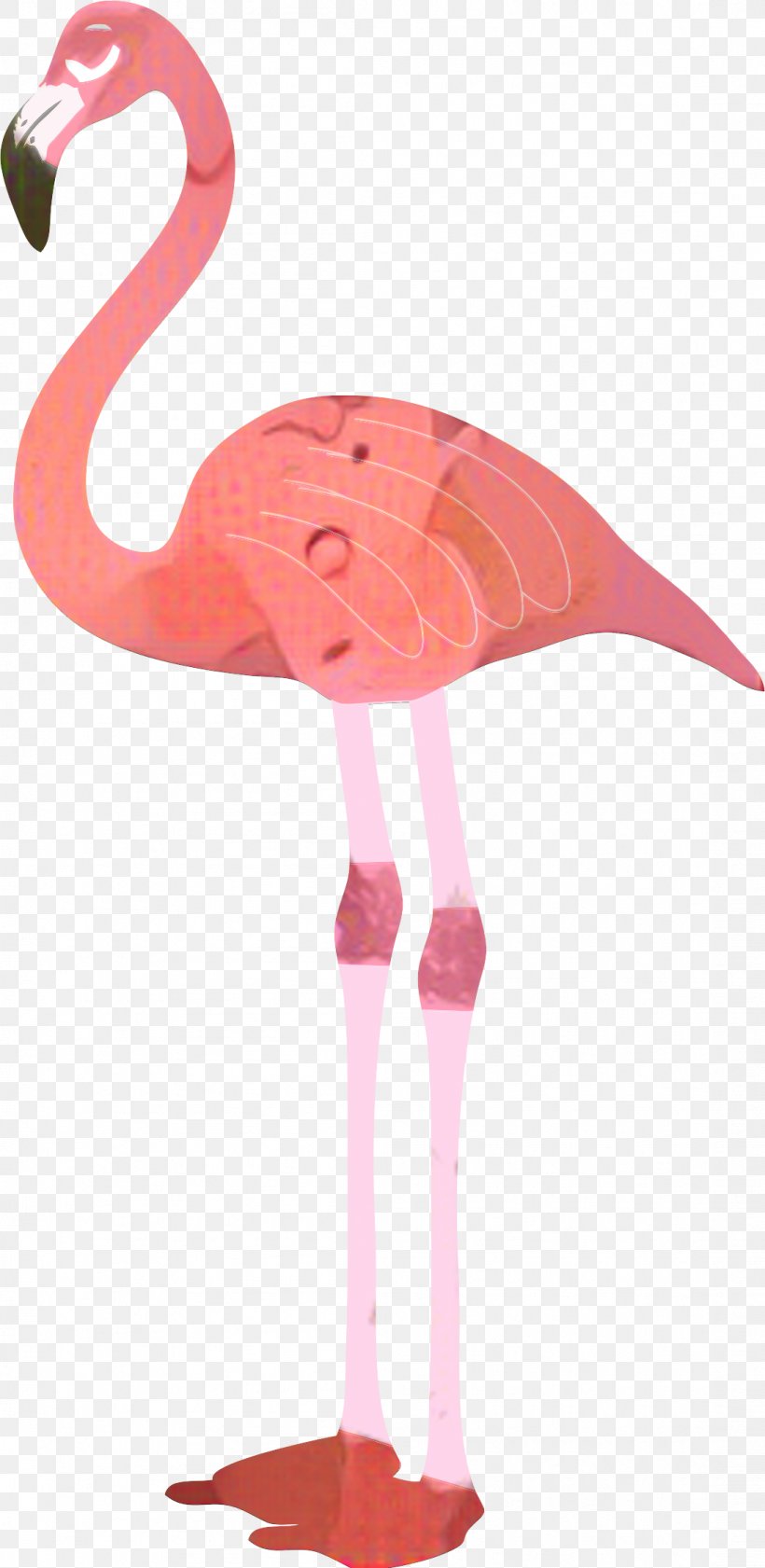 Clip Art Flamingo Image Vector Graphics, PNG, 1098x2252px, Flamingo, Bird, Greater Flamingo, Neck, Pink Download Free