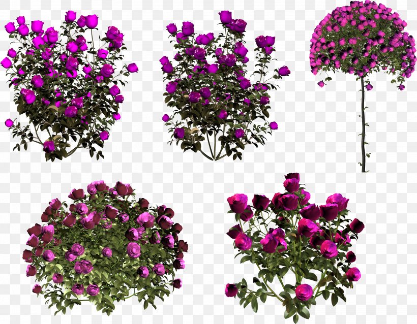 Still Life: Pink Roses Floral Design Garden Roses Flower, PNG, 2802x2182px, Still Life Pink Roses, Annual Plant, Author, Birthday, Blume Download Free