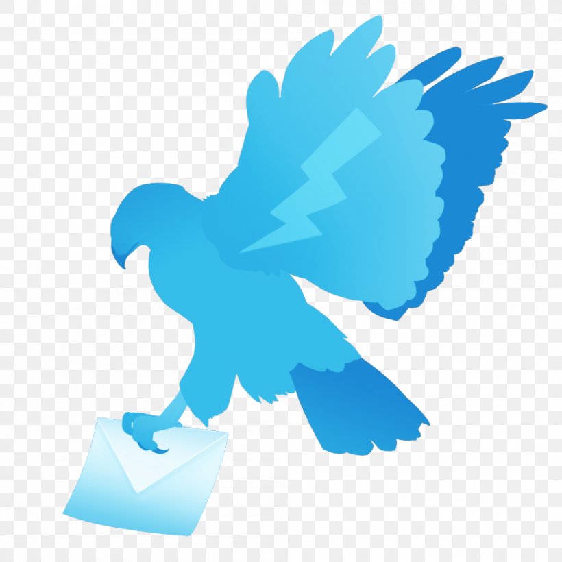 Bird Wing Beak Feather Clip Art, PNG, 1000x1000px, Bird, Animal, Beak, Feather, Microsoft Azure Download Free