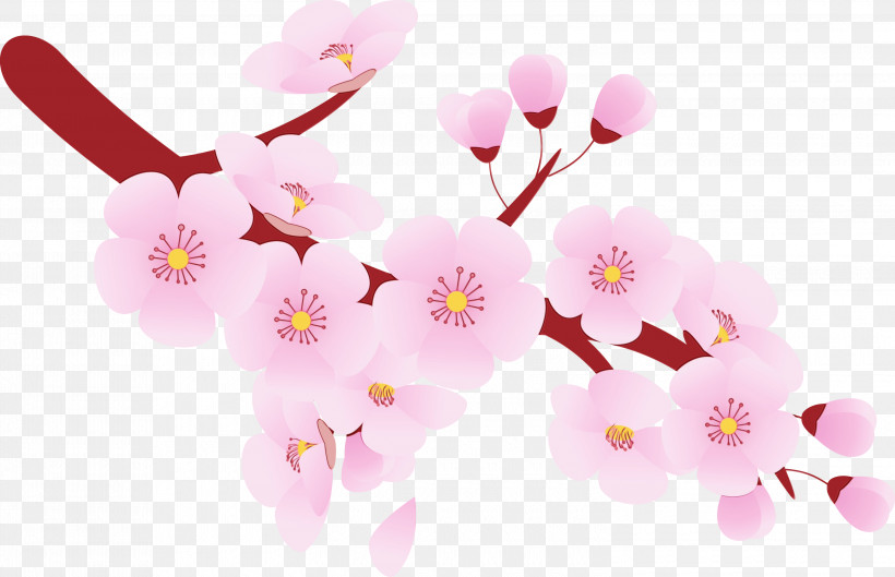 Cherry Blossom, PNG, 3000x1937px, Cherry Flower, Blossom, Branch, Cherry Blossom, Floral Download Free