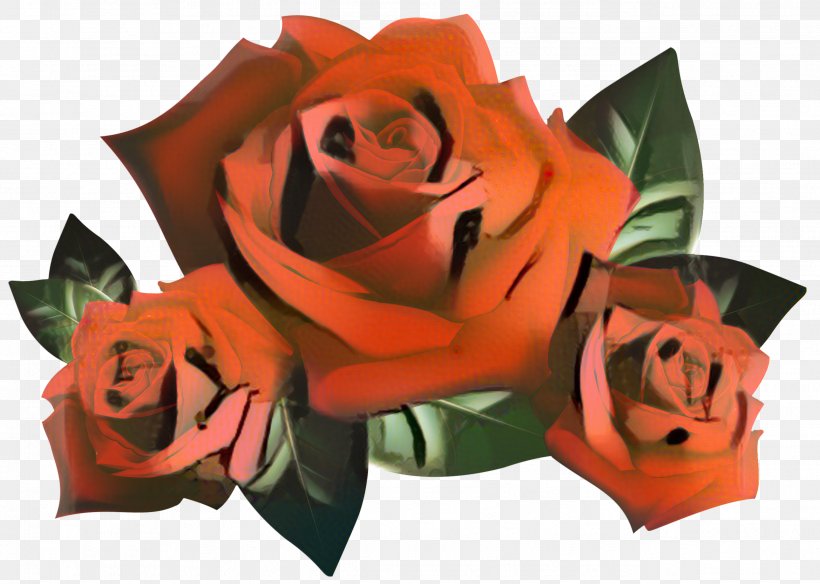Desktop Wallpaper Garden Roses Photograph Red, PNG, 2581x1840px, Garden Roses, Animation, Art, Computer, Computer Monitors Download Free
