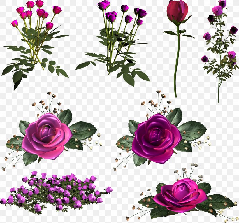 Garden Roses Centifolia Roses Pink Cut Flowers, PNG, 2659x2482px, Garden Roses, Annual Plant, Artificial Flower, Centifolia Roses, Cut Flowers Download Free