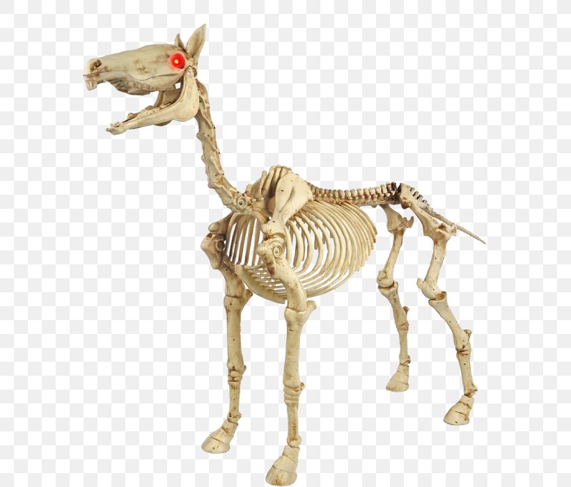 Horse Light Halloween Skeleton Pony, PNG, 700x700px, Horse, Animal Figure, Bone, Costume, Eye Download Free