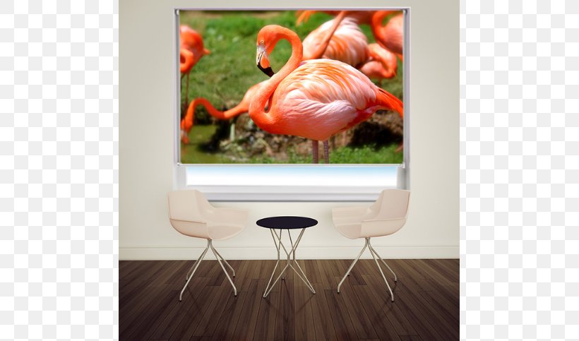 Plastic Flamingo Bird Greater Flamingo Image, PNG, 591x483px, Flamingo, Bird, Greater Flamingo, Photography, Plastic Flamingo Download Free