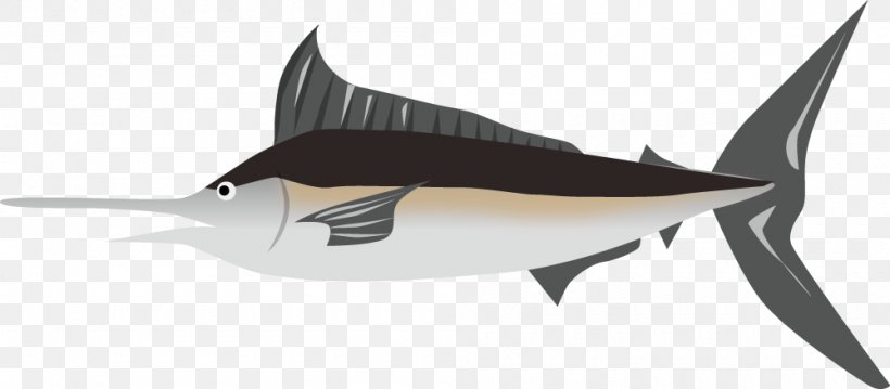 Sashimi Shark Clip Art, PNG, 1000x438px, Sashimi, Beak, Cartilaginous Fish, Fauna, Fish Download Free