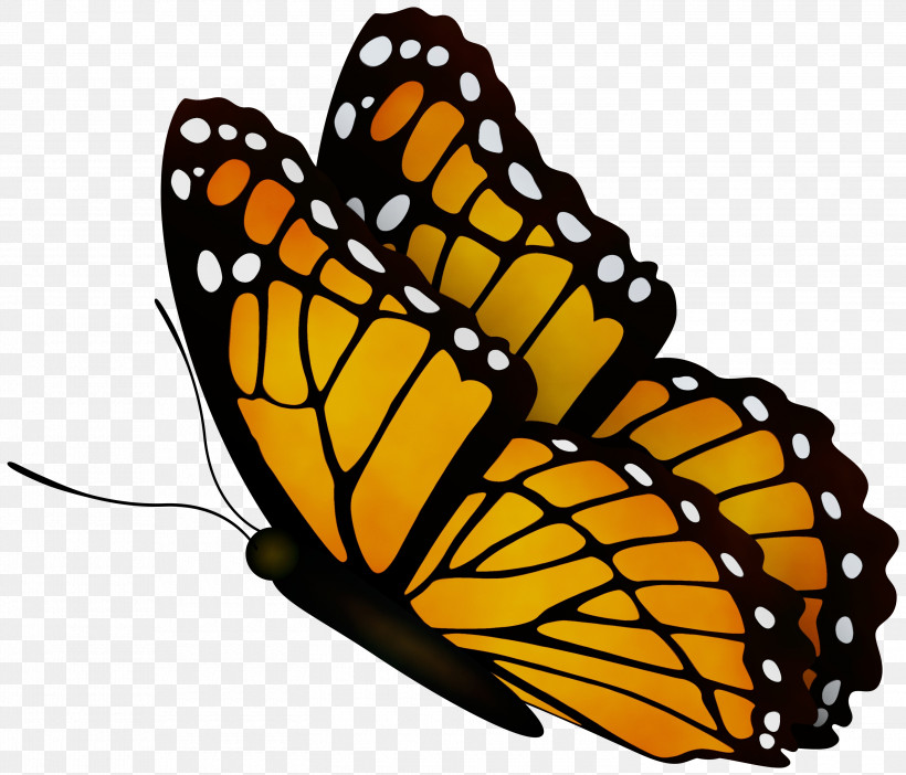 Monarch Butterfly, PNG, 3000x2571px, Watercolor, Brushfooted Butterflies, Butterflies, Geometry, Insects Download Free