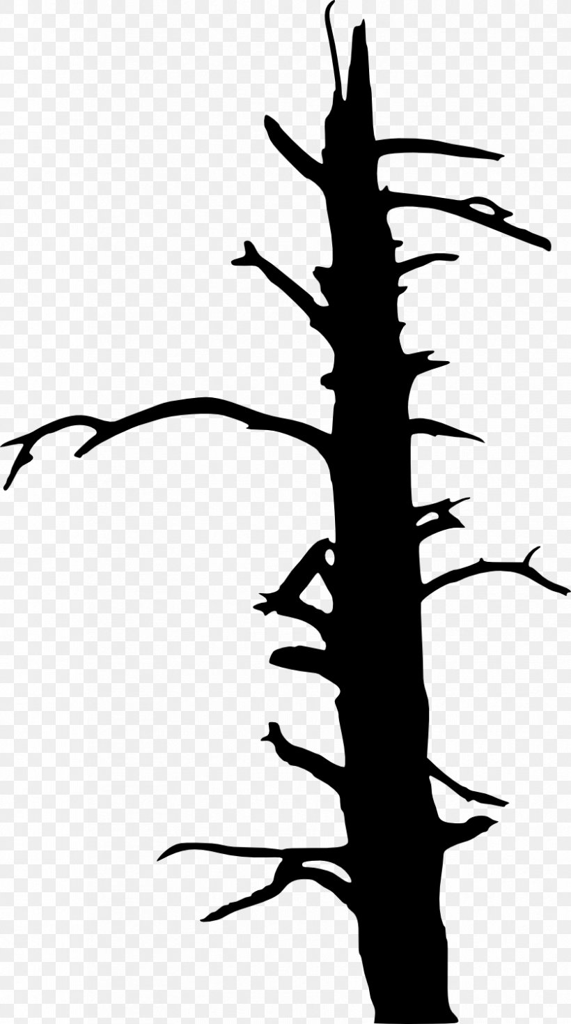 Clip Art Tree Drawing Vector Graphics, PNG, 837x1500px, Tree, Blackandwhite, Botany, Branch, Drawing Download Free