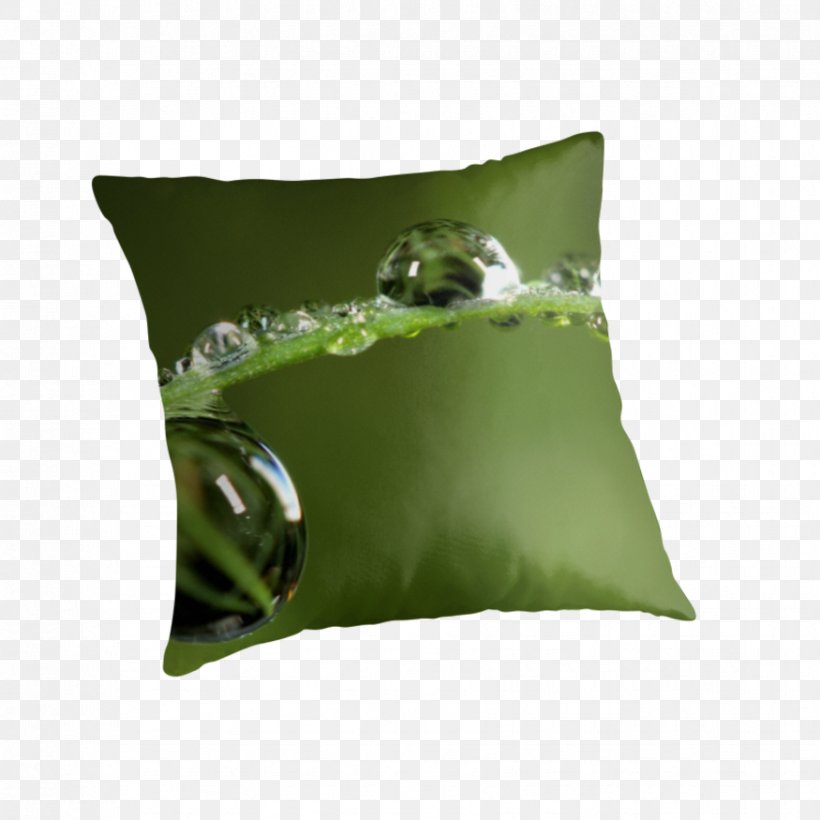 Throw Pillows Cushion Rock FOB, PNG, 875x875px, Throw Pillows, Cushion, Fob, Grass, Green Download Free