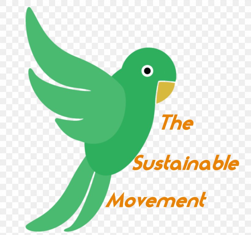 Beak Sustainability Clip Art Logo Fauna, PNG, 1160x1086px, Beak, Area, Bird, Certification, Fauna Download Free