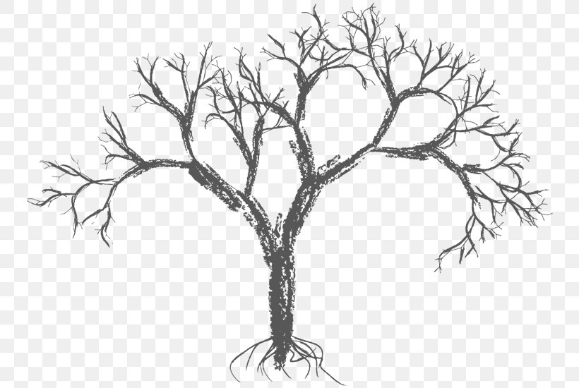 Drawing Tree, PNG, 800x550px, Drawing, Artwork, Black And White, Branch, Brush Download Free
