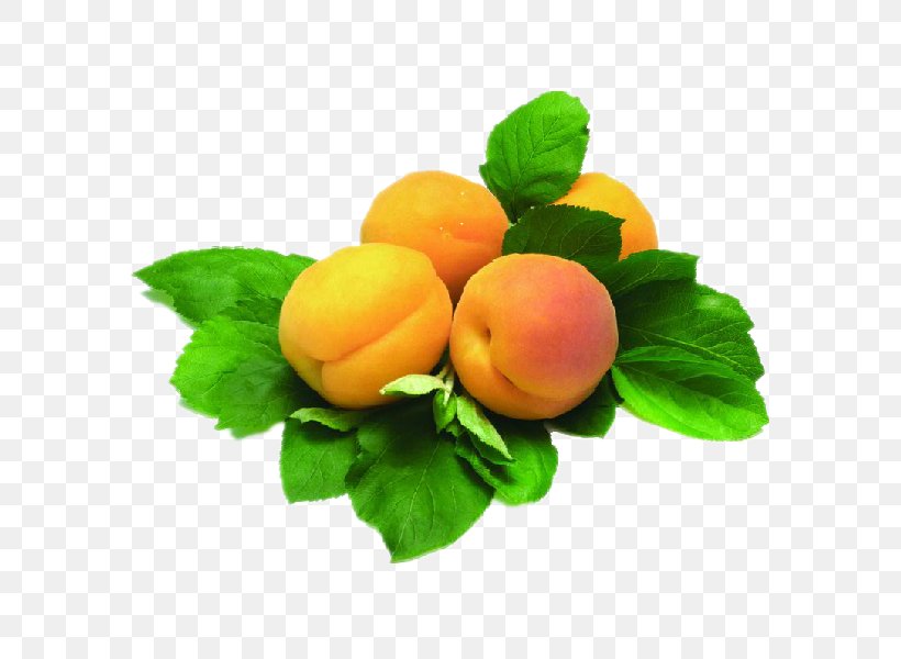 Juice Armenian Food Apricot Fruit Plum, PNG, 600x600px, Juice, Apricot, Armenian Food, Avocado, Candied Fruit Download Free