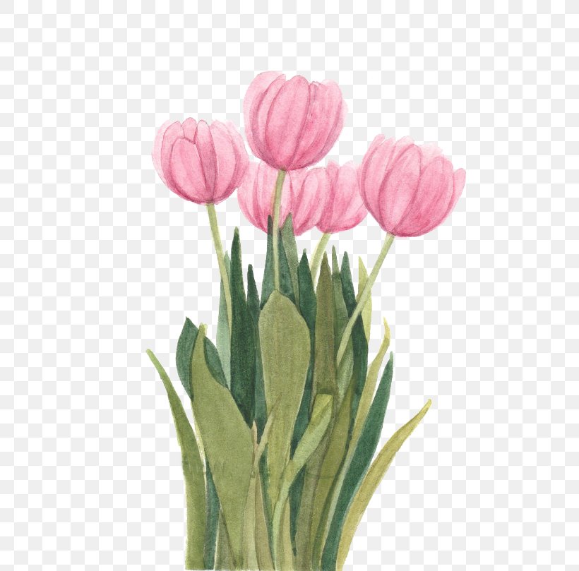 Tulip Watercolor Painting Floral Design Flower, PNG, 570x809px, Tulip, Art, Cut Flowers, Floral Design, Floristry Download Free