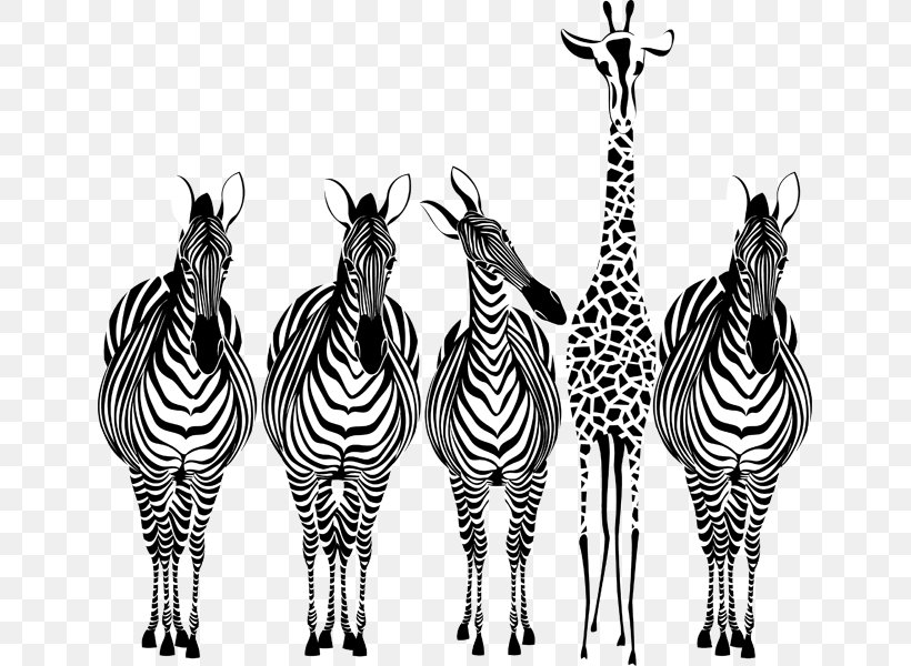 Art, PNG, 643x600px, Art, Black And White, Fauna, Giraffe, Giraffidae Download Free