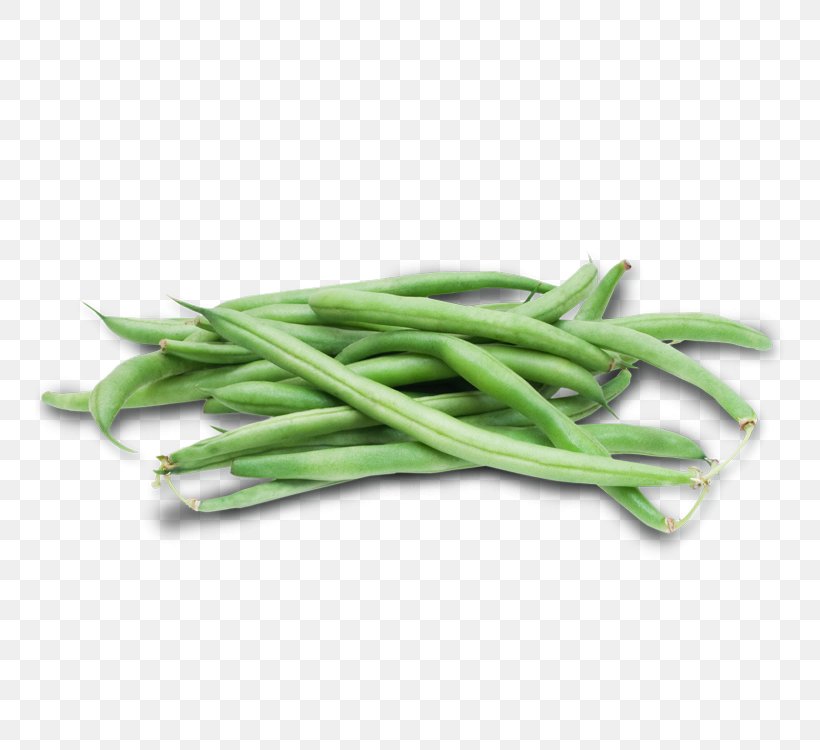 Green Bean Common Bean Vegetable Lima Bean, PNG, 750x750px, Green Bean, Allium Fistulosum, Americas, Bean, Bonduelle Download Free